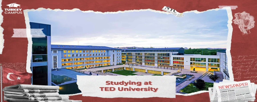 TED University
