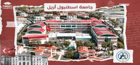 تحصیل در دانشگاه آرل