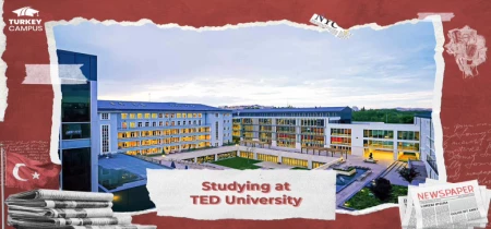 TED University